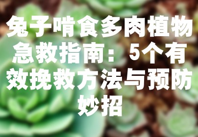 兔子啃食多肉植物急救指南：5个有效挽救方法与预防妙招