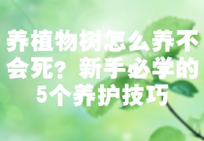 养植物树怎么养不会死？新手必学的5个养护技巧