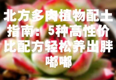 北方多肉植物配土指南：5种高性价比配方轻松养出胖嘟嘟