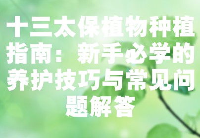 十三太保植物种植指南：新手必学的养护技巧与常见问题解答