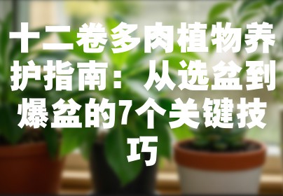 十二卷多肉植物养护指南：从选盆到爆盆的7个关键技巧