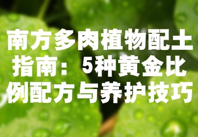 南方多肉植物配土指南：5种黄金比例配方与养护技巧