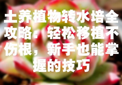土养植物转水培全攻略：轻松移植不伤根，新手也能掌握的技巧