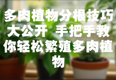 多肉植物分根技巧大公开 手把手教你轻松繁殖多肉植物
