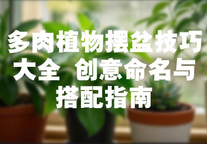 多肉植物摆盆技巧大全 创意命名与搭配指南