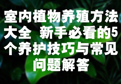 室内植物养殖方法大全 新手必看的5个养护技巧与常见问题解答