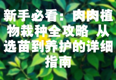 新手必看：肉肉植物栽种全攻略 从选苗到养护的详细指南