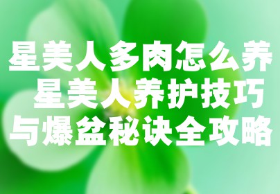 星美人多肉怎么养 星美人养护技巧与爆盆秘诀全攻略
