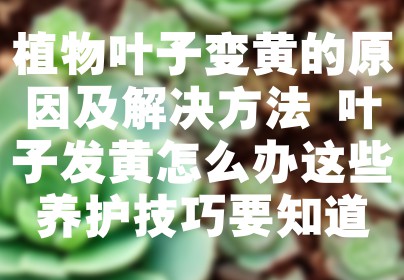 植物叶子变黄的原因及解决方法 叶子发黄怎么办这些养护技巧要知道