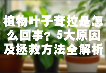 植物叶子耷拉是怎么回事？5大原因及拯救方法全解析