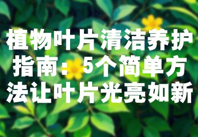 植物叶片清洁养护指南：5个简单方法让叶片光亮如新