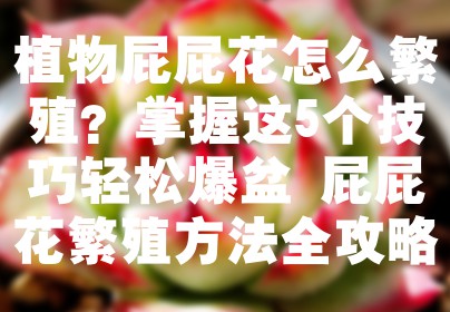 植物屁屁花怎么繁殖？掌握这5个技巧轻松爆盆 屁屁花繁殖方法全攻略