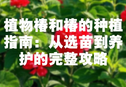 植物椿和椿的种植指南：从选苗到养护的完整攻略