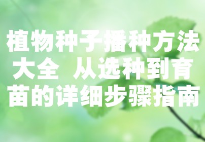 植物种子播种方法大全 从选种到育苗的详细步骤指南