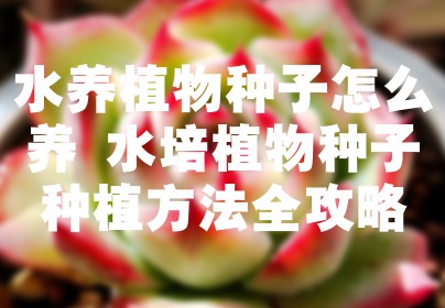 水养植物种子怎么养 水培植物种子种植方法全攻略