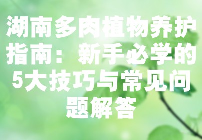 湖南多肉植物养护指南：新手必学的5大技巧与常见问题解答