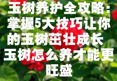 玉树养护全攻略：掌握5大技巧让你的玉树茁壮成长 玉树怎么养才能更旺盛