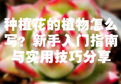 种植花的植物怎么写？新手入门指南与实用技巧分享
