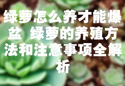 绿萝怎么养才能爆盆 绿萝的养殖方法和注意事项全解析