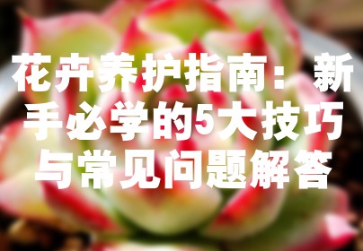 花卉养护指南：新手必学的5大技巧与常见问题解答