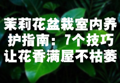 茉莉花盆栽室内养护指南：7个技巧让花香满屋不枯萎