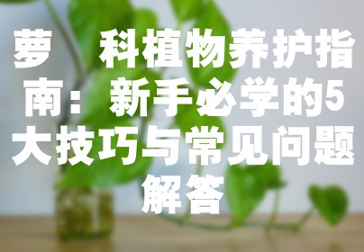 萝藦科植物养护指南：新手必学的5大技巧与常见问题解答