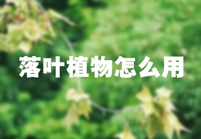 落叶植物怎么用