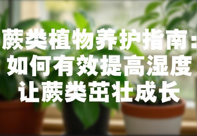 蕨类植物养护指南：如何有效提高湿度让蕨类茁壮成长