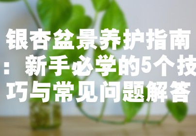 银杏盆景养护指南：新手必学的5个技巧与常见问题解答