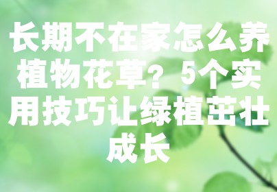 长期不在家怎么养植物花草？5个实用技巧让绿植茁壮成长