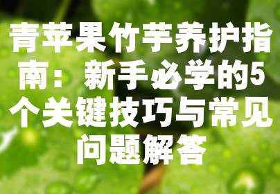 青苹果竹芋养护指南：新手必学的5个关键技巧与常见问题解答
